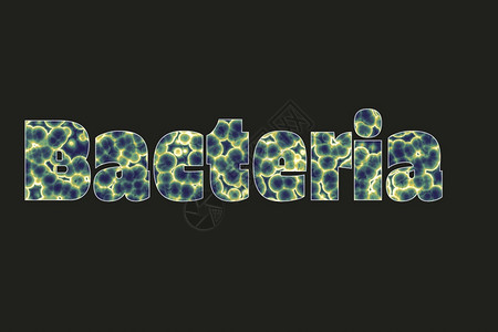 显微镜细菌细菌和芽孢杆菌细菌图形图片