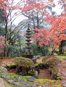 京都红叶背景 京都红叶摄影图片 京都红叶壁纸 摄图网