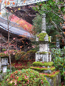 秋天在宫殿的日本院子红叶和黄秋天在宫子的日本院图片