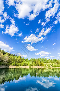 森林和草地的植被与天空相对自然的开阔空间景观森林和草地的植被与天空相对图片