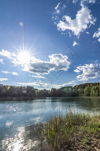 森林和草地的植被与天空相对自然的开阔空间景观森林和草地的植被与天空相对图片