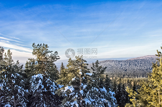 冬季森林大面积雪的冬季森林图片