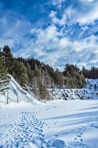 冬季森林大面积雪的冬季森林图片