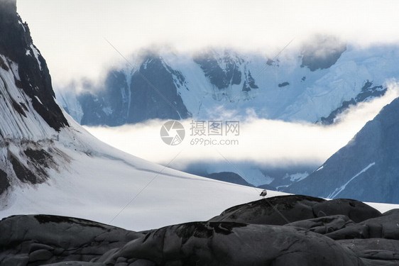 南极洲海岸景观山脉覆盖着冰雪和冷的海洋图片