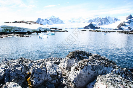 南极洲海岸景观山脉覆盖着冰雪和冷的海洋图片