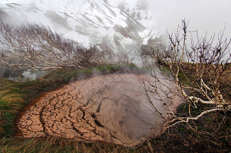 堪察卡的泥火山和蒸汽喷泉图片