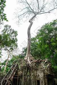 托姆巴永砂岩高清图片