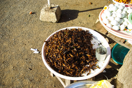 泰国的干美味食品出售干类和蝗虫出售干类和蝗虫图片