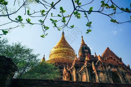 缅甸巴根Bagan2017年月3日佛教宗建筑金庙巴根GoldentemplesBagan佛教宗建筑缅甸仰光SwetawMyatb图片