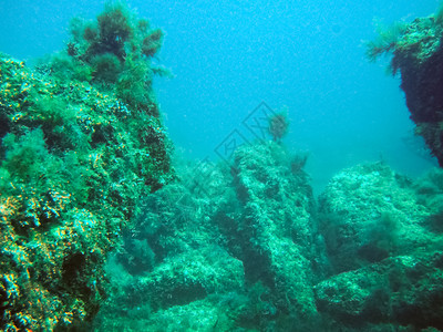 沉船的残骸海底质水下动植物生命海底的质图片