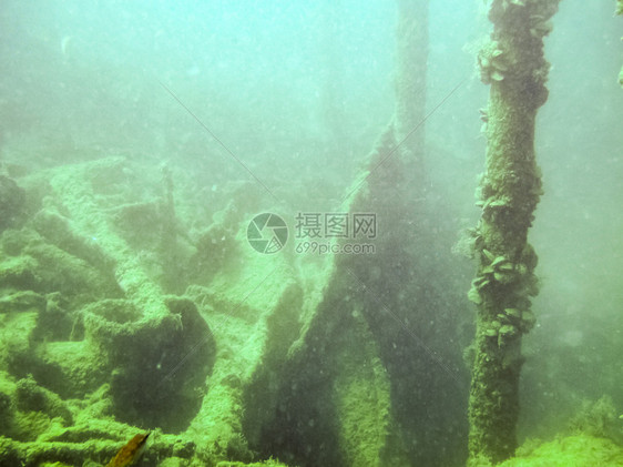 沉船的残骸海底质水下动植物生命海底的质图片