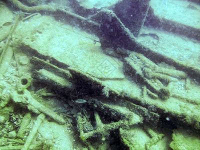 沉船的残骸海底质水下动植物生命海底的质图片