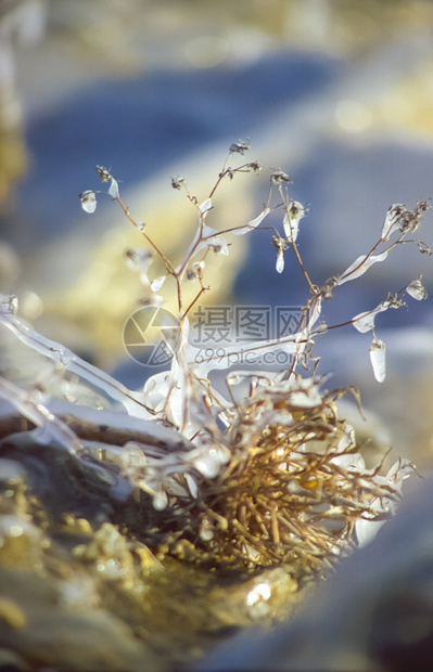 贝加尔岛的冬天湖面冰雪冬天贝加尔岛自然的美丽白加尔岛的冬天湖面冰雪图片