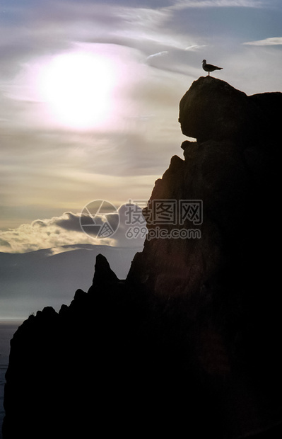 海鸥在日落的背景下坐在悬崖上海鸥日落的背景下坐在悬崖上图片