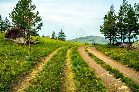 Baikal公园Baikal公园和牧场Baikal公园和牧场图片