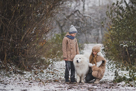 秋天的孩子和Samoyed狗一起散步9840图片