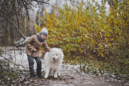 带着狗种走的男孩是Samoyed图片