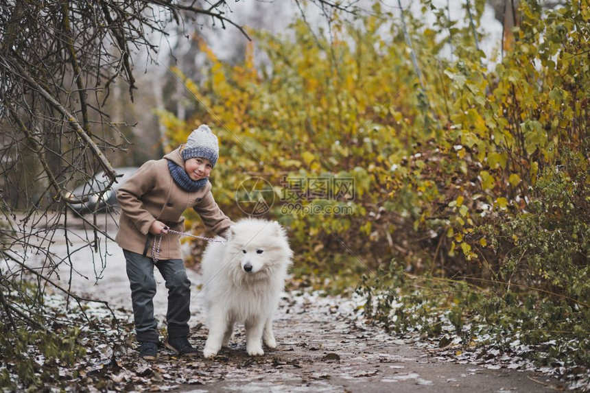 带着狗种走的男孩是Samoyed图片