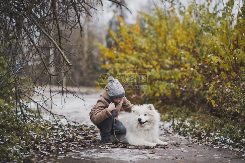 带着狗种走的男孩是Samoyed图片