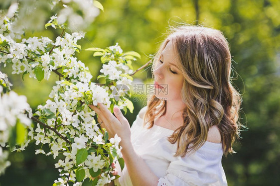 女孩敬佩樱桃园的花朵穿着白裙8235的女孩近身肖像图片