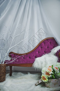 用紫色沙发拍照的地方片背景是8435图片