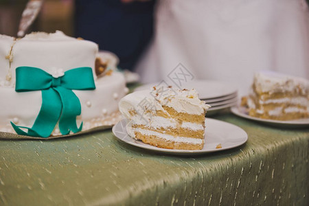 新娘在客人中间分享结婚蛋糕853图片