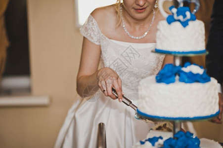 一大块蛋糕上面有奶油7924的蓝花图片