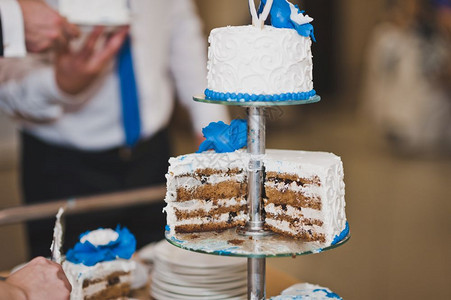 一大蛋糕上面有奶油7925的蓝花图片