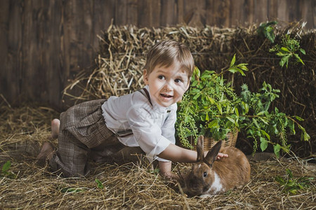 与动物玩耍的儿童与兔子合影6058图片