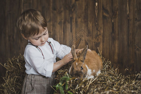 孩子拍着红毛兔子一个穿着白衬衫裤子和吊带的孩子的肖像6061图片