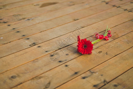 活生地在木板上摘花红在木地板上652图片