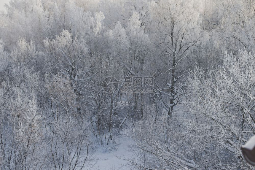 冬季风景树冰冻6285图片