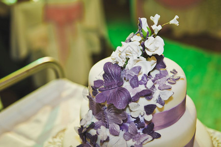 紫色婚礼蛋糕设计为5648的甜蜜节日蛋糕图片