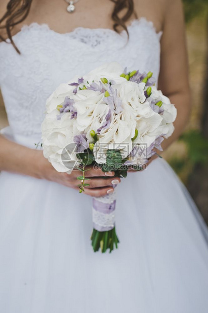 新娘手里拿着一束花新娘拿着一束白色的花549图片