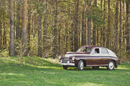 农村的旧车绿色草地上的旧车401图片