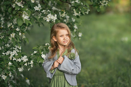 1805年春天在开花的树上画了一个小女孩的肖像图片