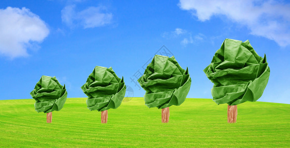 种植草概念增长和环境的树纸图片