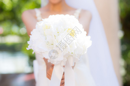 新娘手中美丽的结婚花束图片