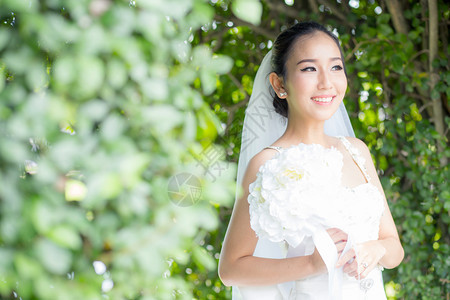 在婚礼当天美丽的年轻女在树墙上穿着白色礼服衣图片