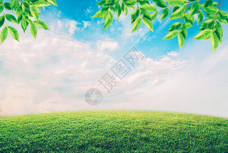 蓝色天空下的绿地白云和叶子环境概念图片