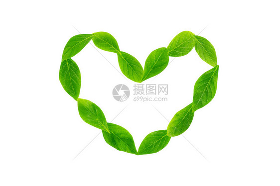 心脏形状的绿叶孤立在白色背景图片