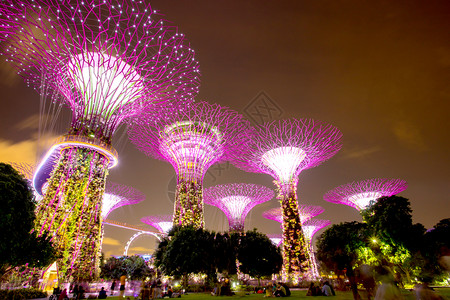 SINGAPORE2017年8月6日在海湾边的花园里有超级树像一样的结构配备了模仿树木生态功能的环境技术图片