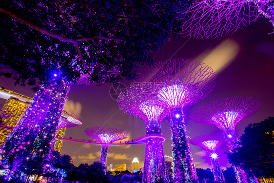 SINGAPORE2017年8月6日在海湾边的花园里有超级树像一样的结构配备了模仿树木生态功能的环境技术图片