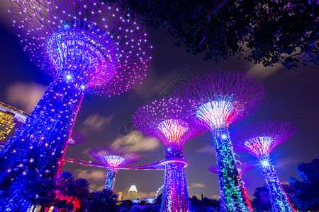 SINGAPORE2017年8月6日在海湾边的花园里有超级树像一样的结构配备了模仿树木生态功能的环境技术图片