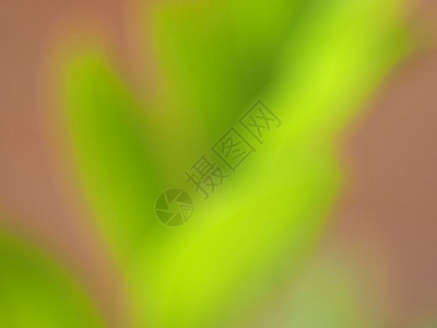 抽象的软绿色模糊背景可以用作抽象的软绿色模糊背景图片