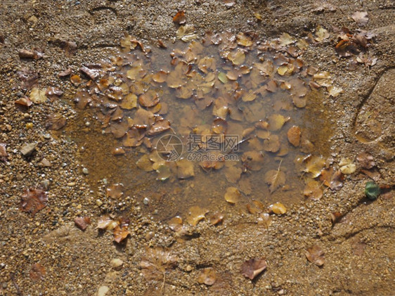 雨水和泥土堆积在地上雨水和泥浆堆积在地上雨水和泥浆堆积在地上图片