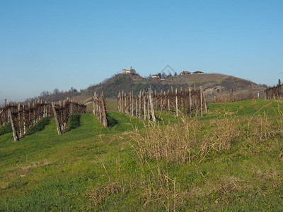皮埃蒙特州的罗埃罗山风景以其巴贝拉巴罗洛内比奥洛和多尔塞托葡萄酒的葡萄园而闻名皮埃蒙特的罗埃罗山图片