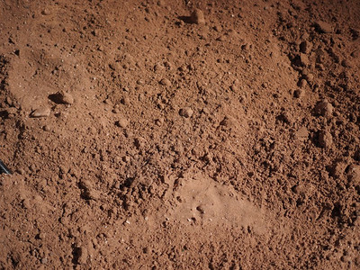 fugu纹理背景褐色土纹理作为背景有用褐色土纹理背景背景