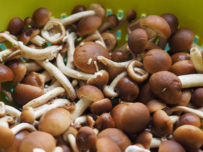 玉米蘑菇栗子或天鹅绒皮尼蘑菇食品图片