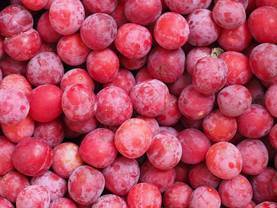 Prunushomenaaka欧洲羽果素食作为背景有用图片